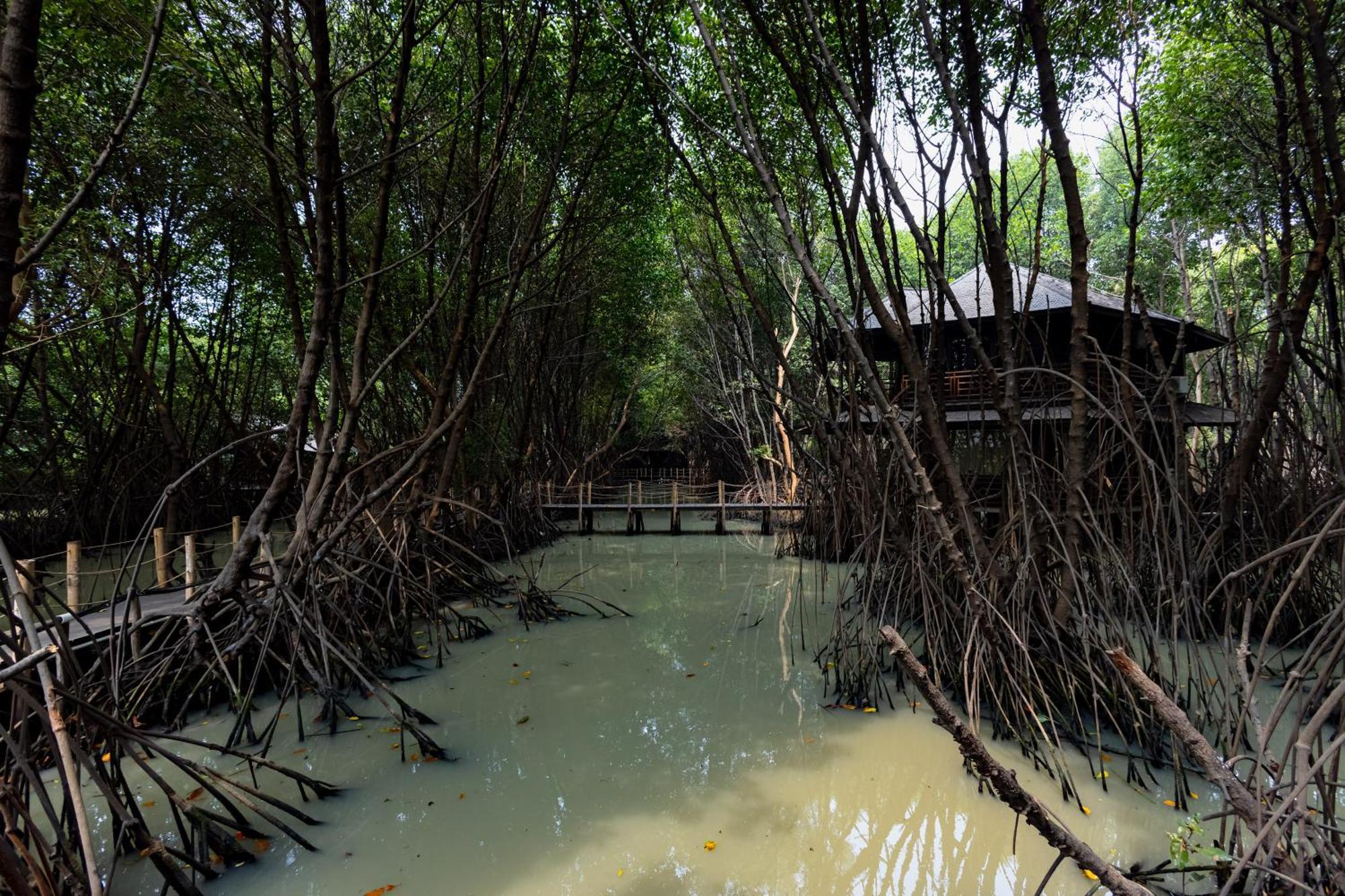 RedDoorz Resort @ Taman Wisata Mangrove Jakarta Exterior foto