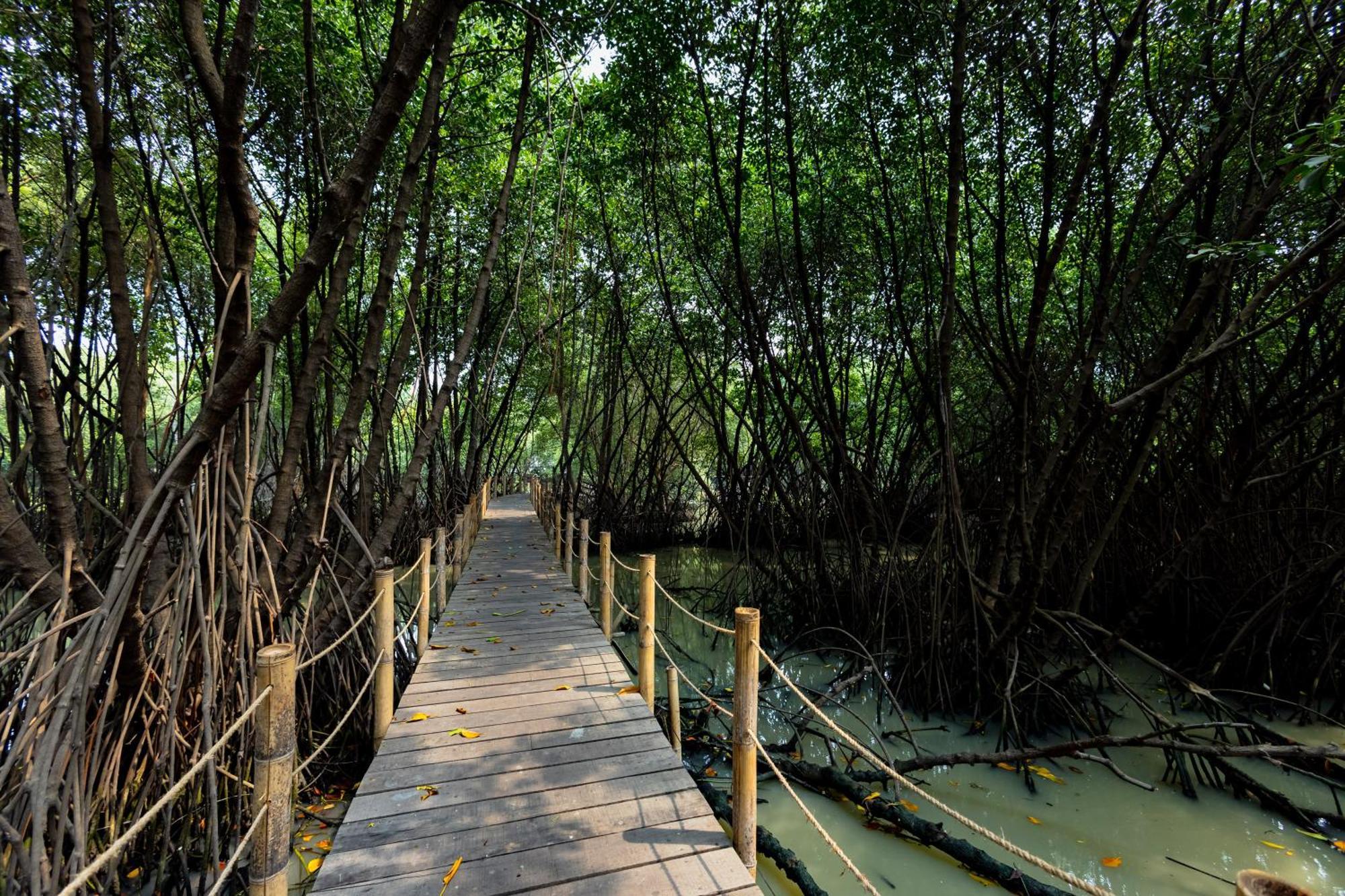 RedDoorz Resort @ Taman Wisata Mangrove Jakarta Exterior foto